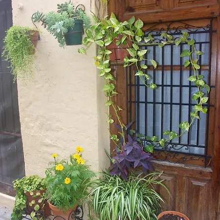 Loft Bajo Vivienda Centro De Valencia-carmen Valencia