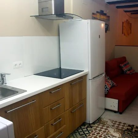 Apartmán Loft Bajo Vivienda Centro De Valencia-carmen Valencie